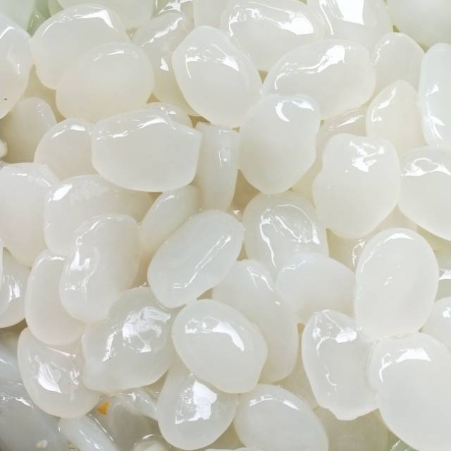 Sugar Palm Fruit